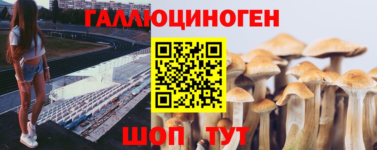 Кингисепп  Галлюциногенные грибы MAGIC MUSHROOMS  Вход с VPN 